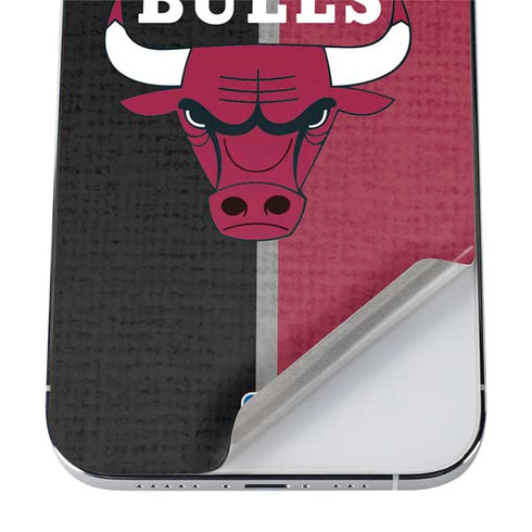 NBA Chicago Bulls Canvas iPhone 12 Pro Max Skin