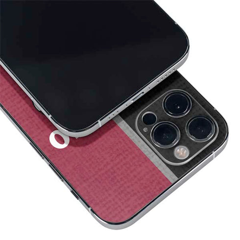 NBA Chicago Bulls Canvas iPhone 12 Pro Max Skin