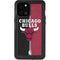 NBA Chicago Bulls Canvas iPhone 12 Pro Max Waterproof Case