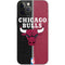 NBA Chicago Bulls Canvas iPhone 12 Pro Skin