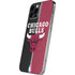 NBA Chicago Bulls Canvas iPhone 12 Pro Skin