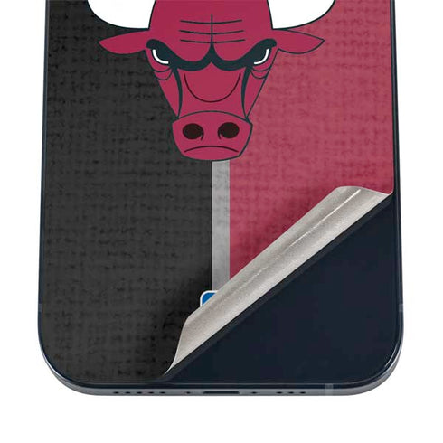 NBA Chicago Bulls Canvas iPhone 12 Skin
