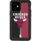 NBA Chicago Bulls Canvas iPhone 12 Waterproof Case