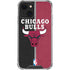 NBA Chicago Bulls Canvas iPhone 13 Mini Clear Case