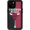 NBA Chicago Bulls Canvas iPhone 13 Mini Waterproof Case