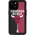 NBA Chicago Bulls Canvas iPhone 13 Mini Waterproof Case