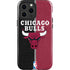 NBA Chicago Bulls Canvas iPhone 13 Pro Max Impact Case