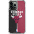 NBA Chicago Bulls Canvas iPhone 15 Pro Max Clear Case