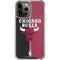 NBA Chicago Bulls Canvas iPhone 14 Pro Max Clear Case
