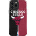 NBA Chicago Bulls Canvas iPhone 15 Pro Max Impact Case