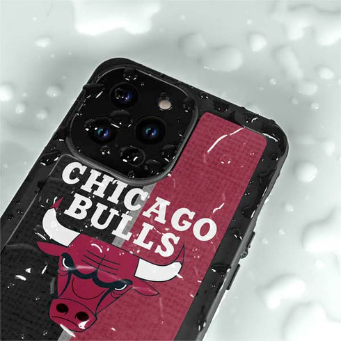 NBA Chicago Bulls Canvas iPhone 14 Pro Max Waterproof Case