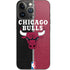 NBA Chicago Bulls Canvas iPhone 14 Pro Skin