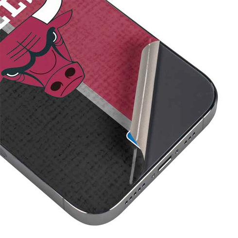 NBA Chicago Bulls Canvas iPhone 14 Pro Skin