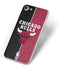 NBA Chicago Bulls Canvas iPhone 8 Skin