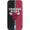 NBA Chicago Bulls Canvas iPhone X Pro Case