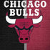 NBA Chicago Bulls Canvas iPhone X Pro Case