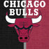 NBA Chicago Bulls Canvas iPhone XR Skin