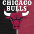 NBA Chicago Bulls Canvas iPhone XS Max Skin
