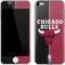 NBA Chicago Bulls Canvas Apple iPod Skin