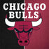 NBA Chicago Bulls Canvas Legion Y720 Skin