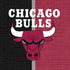 NBA Chicago Bulls Canvas Moto E5 Play Skin