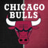 NBA Chicago Bulls Canvas Moto G6 Skin