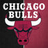 NBA Chicago Bulls Canvas Notebook 9 Pro 13in (2017) Skin