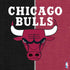 NBA Chicago Bulls Canvas PS4 Pro/Slim Controller Skin
