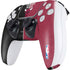 NBA Chicago Bulls Canvas PS5 Controller Skin