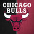 NBA Chicago Bulls Canvas Surface Book 2 15in Skin