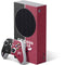 NBA Chicago Bulls Canvas Xbox Series S Skins