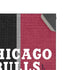 NBA Chicago Bulls Canvas Xbox Series X Console Skin