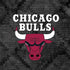 NBA Chicago Bulls Dark Rust Nintendo 2DS XL (2017) Skin