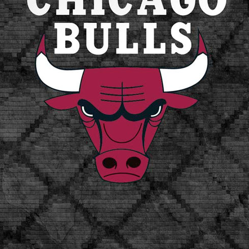NBA Chicago Bulls Dark Rust iPhone XR Skin