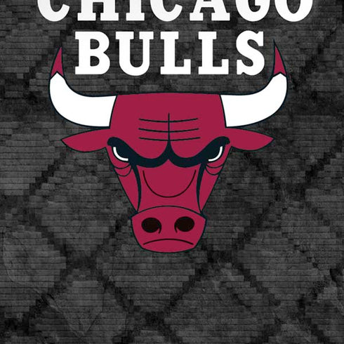 NBA Chicago Bulls Dark Rust iPhone XS Skin