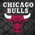 NBA Chicago Bulls Dark Rust Legion Y720 Skin