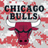 NBA Chicago Bulls Digi Camo Nintendo 2DS XL (2017) Skin