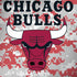 NBA Chicago Bulls Digi Camo Galaxy Note 8 Skin
