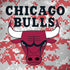 NBA Chicago Bulls Digi Camo iPhone X Skin