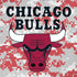 NBA Chicago Bulls Digi Camo iPhone XR Pro Case