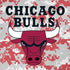 NBA Chicago Bulls Digi Camo iPhone XR Skin