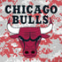 NBA Chicago Bulls Digi Camo iPhone XS Max Skin