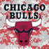 NBA Chicago Bulls Digi Camo iPhone XS Pro Case