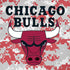NBA Chicago Bulls Digi Camo iPhone XS Skin