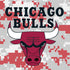 NBA Chicago Bulls Digi Camo Moto E5 Play Skin