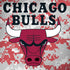 NBA Chicago Bulls Digi Camo Moto G6 Skin