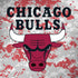 NBA Chicago Bulls Digi Camo Notebook 9 Pro 13in (2017) Skin