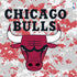 NBA Chicago Bulls Digi Camo PS4 Console and Controller Bundle Skin