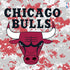 NBA Chicago Bulls Digi Camo PS4 Controller Skin