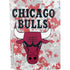 NBA Chicago Bulls Digi Camo PS5 Console Skin